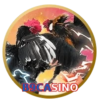 B9CASINO